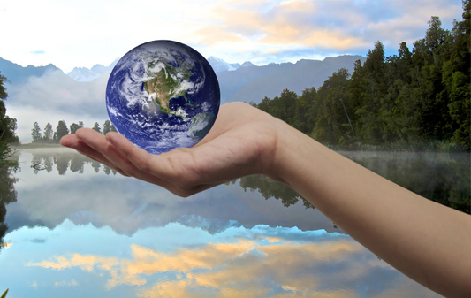 Choice is Power: How Your Everyday Decisions Can Tackle Climate Change