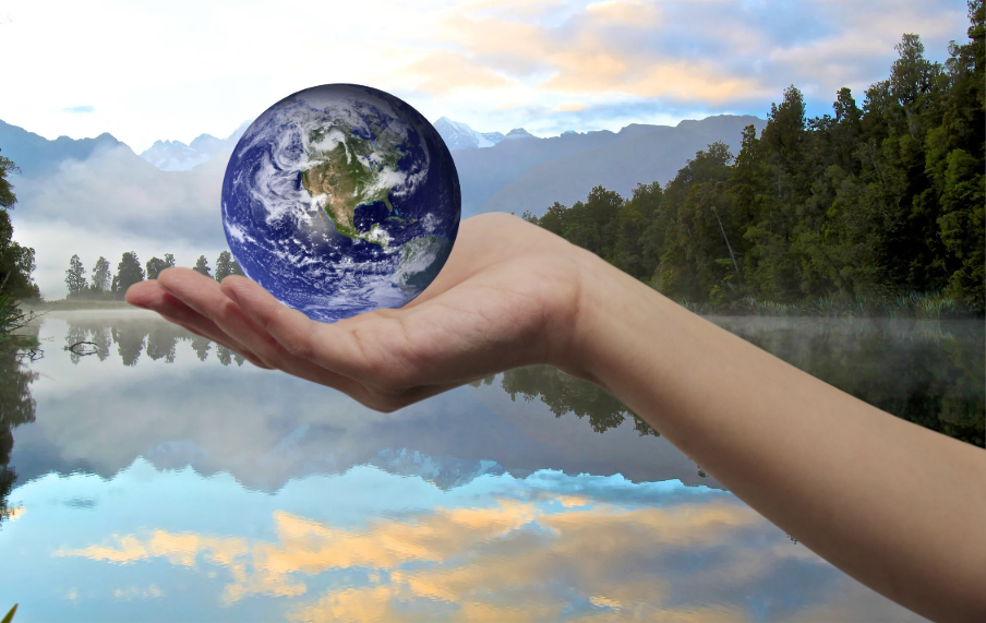 Choice is Power: How Your Everyday Decisions Can Tackle Climate Change