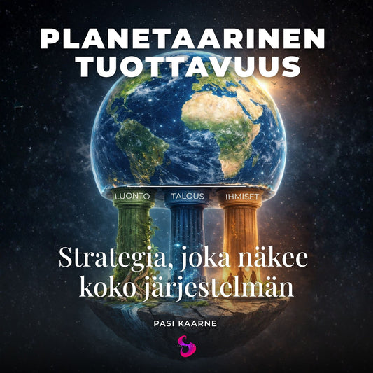 Planetaarinen tuottavuus – Strategia joka näkee koko järjestelmän -äänikirja